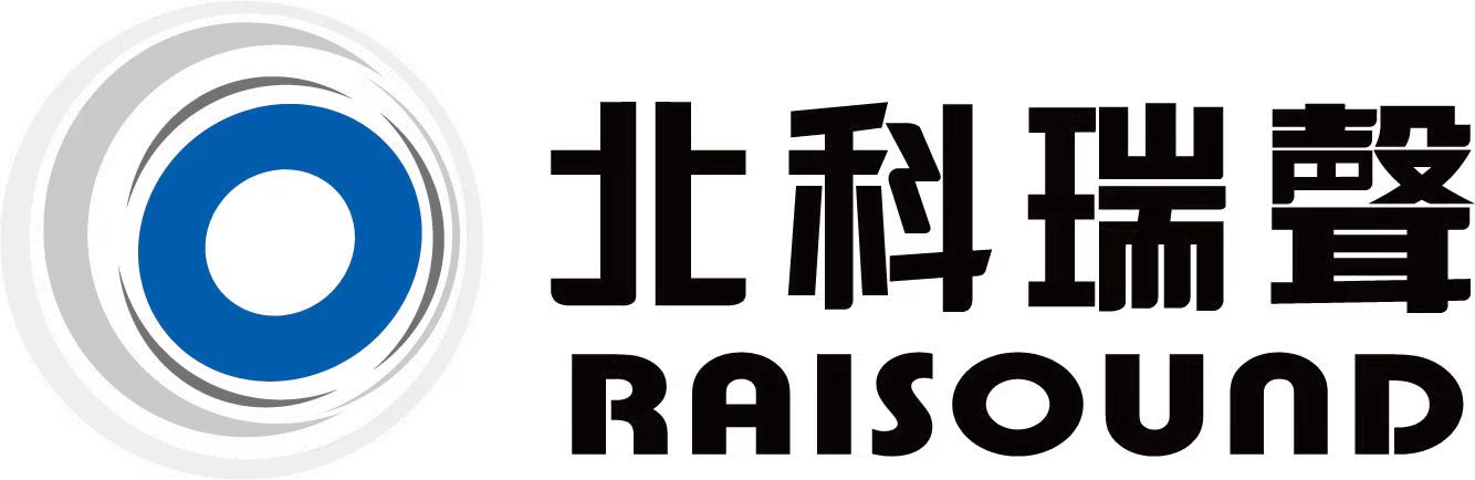 logo of RAISOUND (HONGKONG) CO., LIMITED