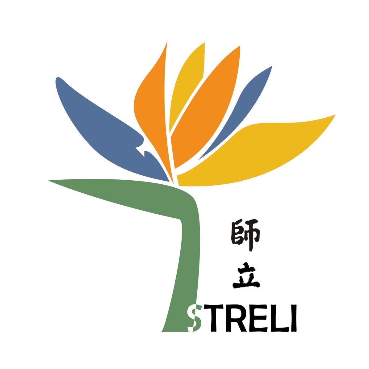logo of STRELI TECHNOLOGY LIMITED